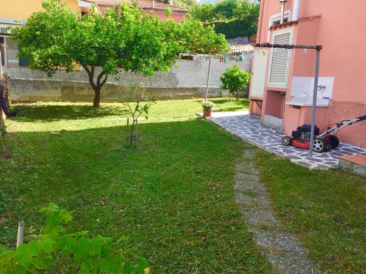 B&B Villa Rosa Angrisano Maratea Exterior foto