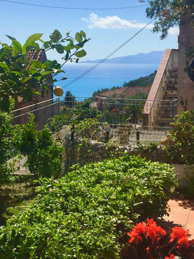 B&B Villa Rosa Angrisano Maratea Zimmer foto
